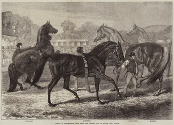 Parade der Vollbluthengste nach dem Jährlingsverkauf in Middle Park, Eltham